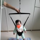 한양대(체육관) | 아기 까치발 언제까지, 3개월~돌아기(경과, 자가 물리치료 방법, 완치후기)