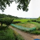 미술관안마시술소 이미지