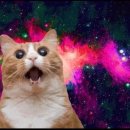 러브팬다 이미지