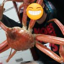 (주)웰빙수산 이미지