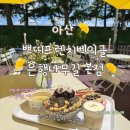 타타스베이글은행나무길점 | 아산 쁘띠프렌치베이글 은행나무길 본점 곡교천 카페 아산 애견동반 카페 아산 빙수 맛집 쌀베이글 쌀...