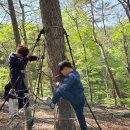 빙기실마을 | 4월 주말 캠핑 - 달빛고운 병곡캠핑장