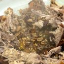 석곡오리촌 이미지