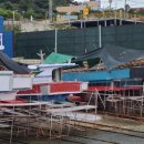 신근마을 이미지