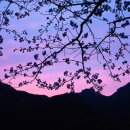 서해사랑 이미지