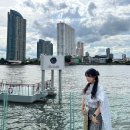 스위트 피피 이미지