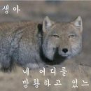 달콤한아재 - 8449 | 달콤한아재