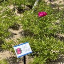 자매공원 이미지