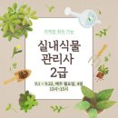 실내식물관리사 2급 자격증 과정 이미지