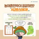 시고르스테이 이미지