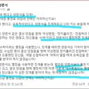 민친윤 전해철과 한판승부하는 양문석의 개싸움을 지지합니다.. 이미지