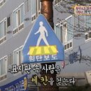 횡단보도 표지판 이미지