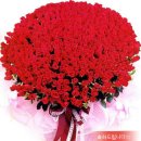 제주여자중학교 이미지