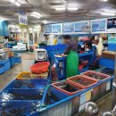 서씨횟집 이미지