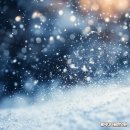 명지더나음한의원 이미지