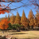 르까페시크릿 이미지