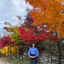 (주)화담