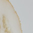 동국농산