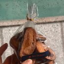 서초대로27길 10-3 이미지