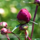 도동종합정비 이미지