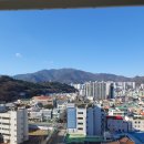 산호동544 이미지