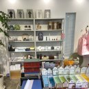 스테드16