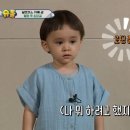 월벤