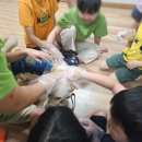 아름다운지역아동센터 | 금산아름다운지역아동센터 진로체험활동 : 반려견훈련사 페이스페인팅 사진작가