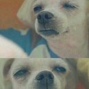 춘하추동 이미지