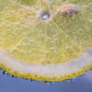 레몬커피(LEMON COFFEE) 이미지