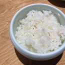 광안리 양고기 맛집 양지경성 분위기 좋은 구워주는 고기집