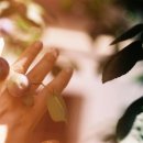 스토리헤어아트 이미지