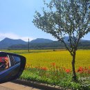 불갑사 관광안내소 이미지