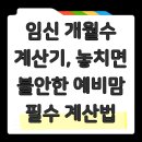 나를 가장 나답게 : MBTI 검사를 통한 나 사용법 알기 | 임신 개월수 계산기, 놓치면 불안한 예비맘 필수 계산법