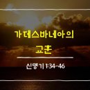 바네아