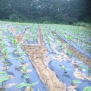 이성규농장 이미지