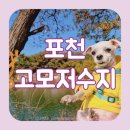 산정호수마을회 | 포천 고모호수공원 애견동반 강아지와 함께 걷는 둘레길 여행코스 추천