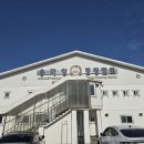 궁평항로 1L | 가성비 봄맞이 서울근교여행 : 화성 궁평캠프 승마장 말 먹이주기 체험 후기