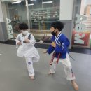 덕정MBA태권도장 이미지