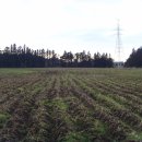 효성목장 이미지