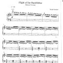 Rimsky Korsakov / Flight of the bumble bee1 왕벌의비행 이미지
