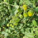 가평계곡호박펜션 이미지