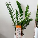 상도그 검암점 네이버블로그