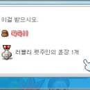 루시드펫 이미지