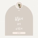 애정지수 | 봄봄피아 봄블로디 10기 애정가득 후기