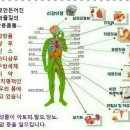 톡스헤어매직 이미지