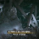 수정카 이미지