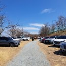 꽃망울피아노 앞 | 김해 목련숲 개화 실시간 방문 후기