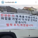 보배인스타 "우리 개는 안물어요".... 이미지