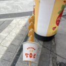 달콤왕가탕후루 양산점 이미지